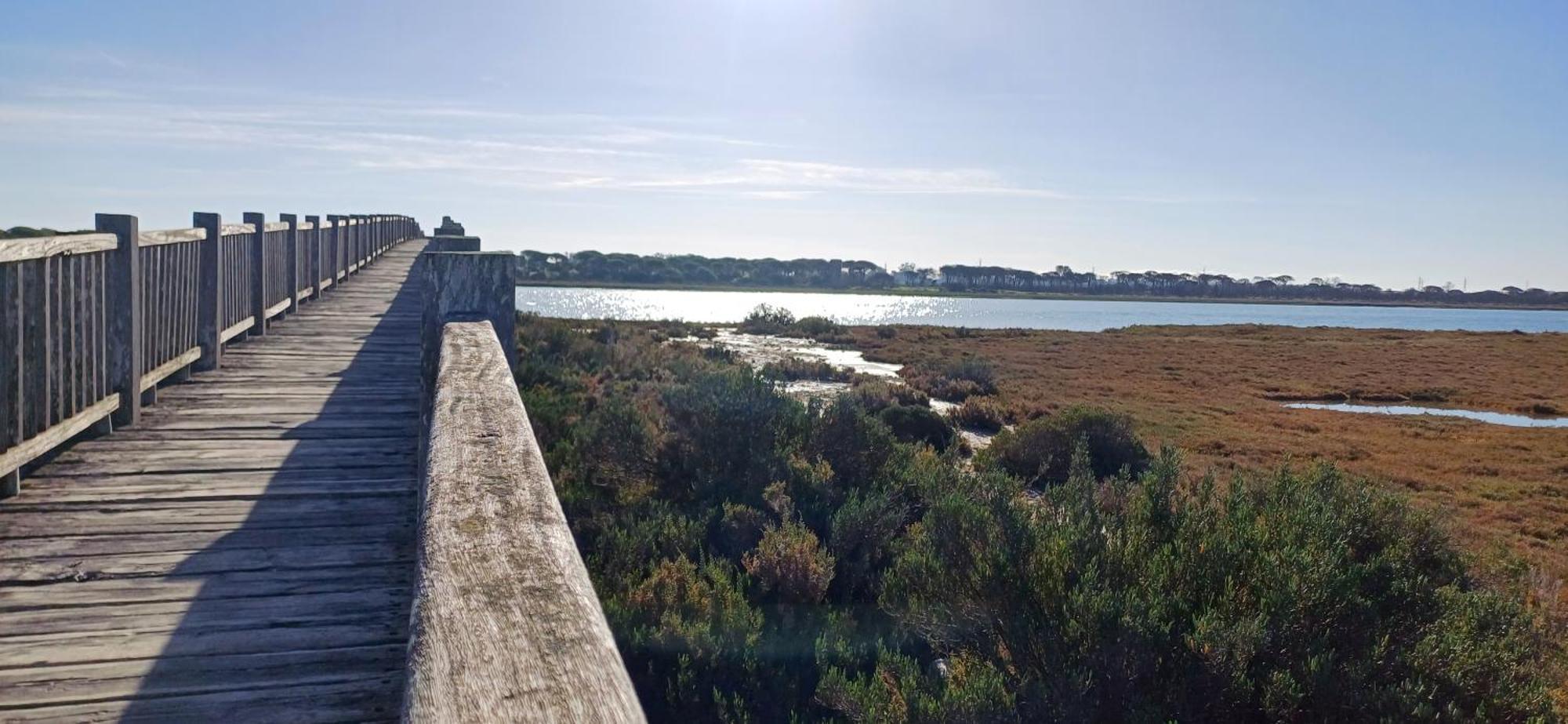 Apartamento Primera Linea De Playa Valdelagrana El Puerto de Santa Maria Luaran gambar